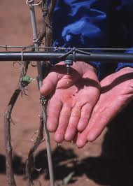 Drip Irrigation